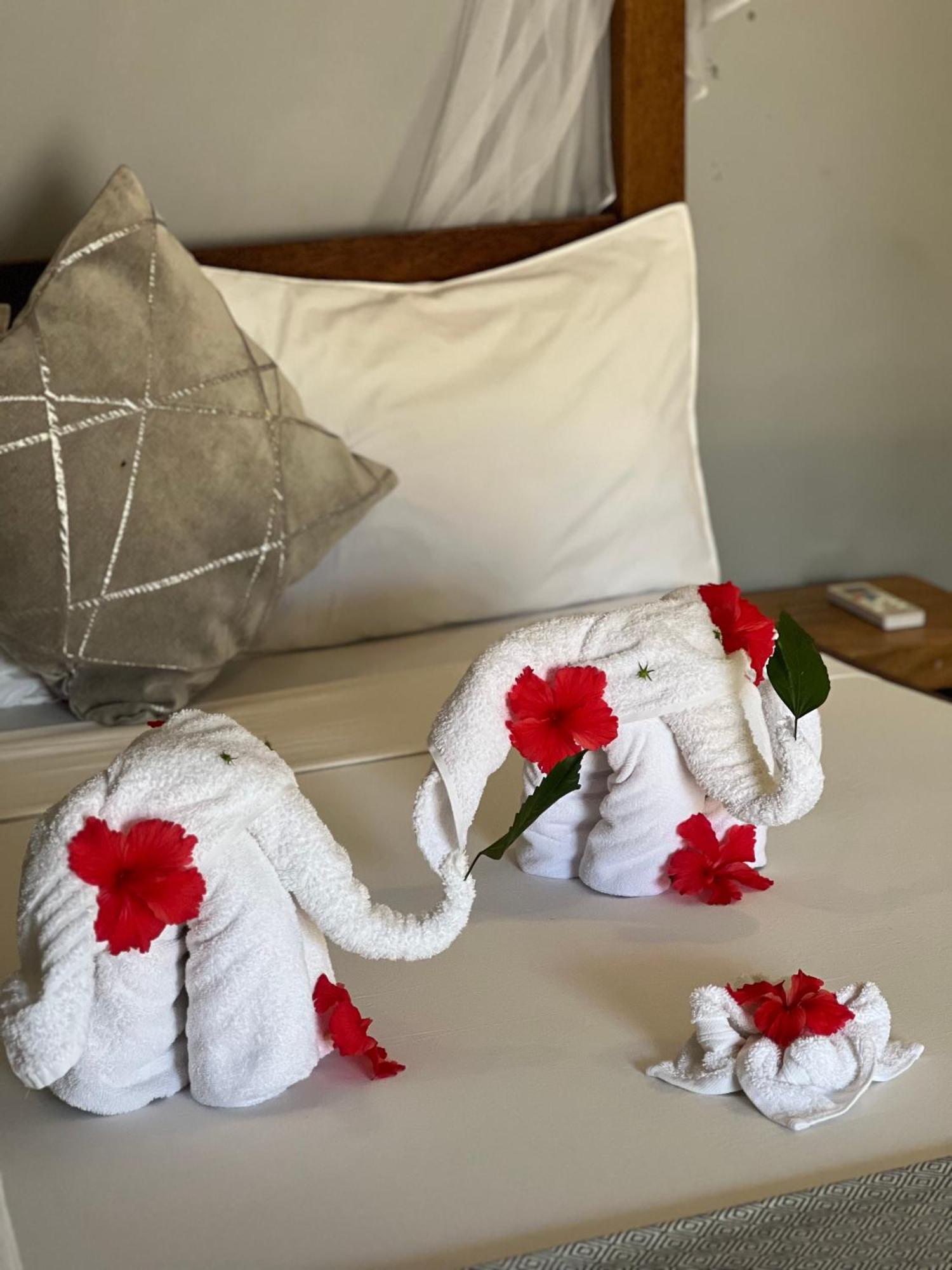 Seashore Beach Hotel キウェンワ エクステリア 写真